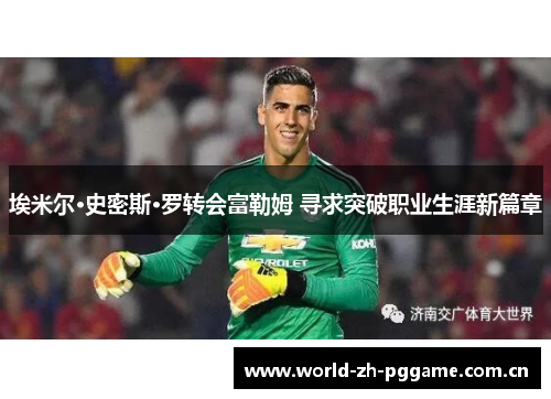 埃米尔·史密斯·罗转会富勒姆 寻求突破职业生涯新篇章