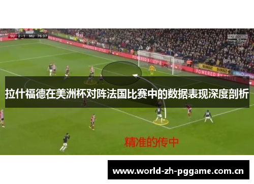 拉什福德在美洲杯对阵法国比赛中的数据表现深度剖析